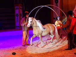  Circus YAKARI am 27.09.2024